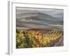 Europe, Italy, Tuscany. Autumn Vineyards in Bright Colors-Julie Eggers-Framed Photographic Print