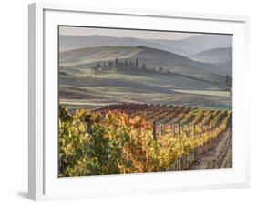 Europe, Italy, Tuscany. Autumn Vineyards in Bright Colors-Julie Eggers-Framed Photographic Print