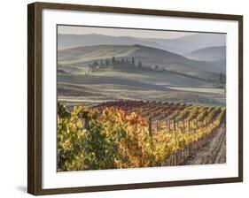 Europe, Italy, Tuscany. Autumn Vineyards in Bright Colors-Julie Eggers-Framed Photographic Print