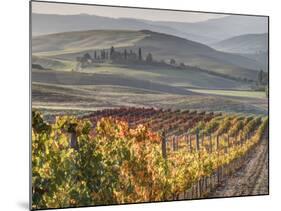 Europe, Italy, Tuscany. Autumn Vineyards in Bright Colors-Julie Eggers-Mounted Photographic Print