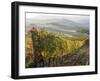 Europe, Italy, Tuscany. Autumn Vineyards in Bright Colors-Julie Eggers-Framed Premium Photographic Print