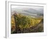 Europe, Italy, Tuscany. Autumn Vineyards in Bright Colors-Julie Eggers-Framed Photographic Print