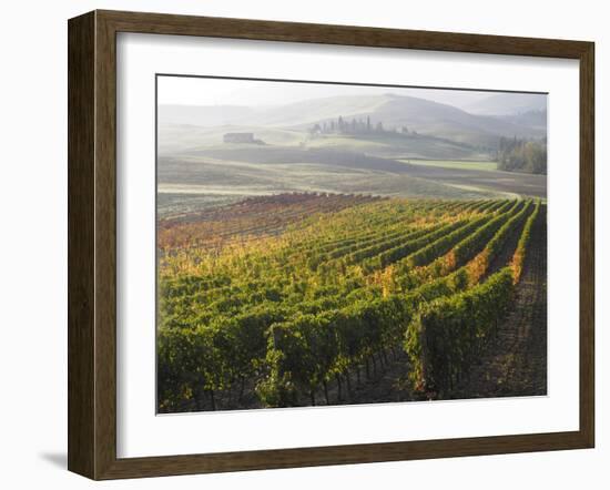 Europe, Italy, Tuscany. Autumn Vineyards in Bright Colors-Julie Eggers-Framed Photographic Print