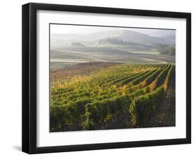 Europe, Italy, Tuscany. Autumn Vineyards in Bright Colors-Julie Eggers-Framed Photographic Print