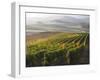 Europe, Italy, Tuscany. Autumn Vineyards in Bright Colors-Julie Eggers-Framed Photographic Print