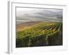 Europe, Italy, Tuscany. Autumn Vineyards in Bright Colors-Julie Eggers-Framed Photographic Print