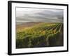 Europe, Italy, Tuscany. Autumn Vineyards in Bright Colors-Julie Eggers-Framed Photographic Print