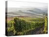 Europe, Italy, Tuscany. Autumn Vineyards in Bright Colors-Julie Eggers-Stretched Canvas