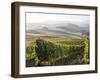 Europe, Italy, Tuscany. Autumn Vineyards in Bright Colors-Julie Eggers-Framed Photographic Print