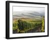 Europe, Italy, Tuscany. Autumn Vineyards in Bright Colors-Julie Eggers-Framed Photographic Print