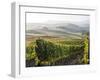 Europe, Italy, Tuscany. Autumn Vineyards in Bright Colors-Julie Eggers-Framed Photographic Print