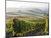 Europe, Italy, Tuscany. Autumn Vineyards in Bright Colors-Julie Eggers-Mounted Photographic Print