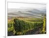 Europe, Italy, Tuscany. Autumn Vineyards in Bright Colors-Julie Eggers-Framed Photographic Print