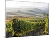 Europe, Italy, Tuscany. Autumn Vineyards in Bright Colors-Julie Eggers-Mounted Photographic Print