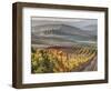 Europe, Italy, Tuscany. Autumn Vineyards in Bright Colors-Julie Eggers-Framed Photographic Print