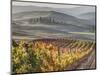 Europe, Italy, Tuscany. Autumn Vineyards in Bright Colors-Julie Eggers-Mounted Photographic Print