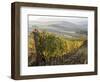 Europe, Italy, Tuscany. Autumn Vineyards in Bright Colors-Julie Eggers-Framed Photographic Print