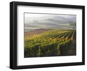 Europe, Italy, Tuscany. Autumn Vineyards in Bright Colors-Julie Eggers-Framed Photographic Print