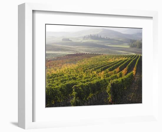 Europe, Italy, Tuscany. Autumn Vineyards in Bright Colors-Julie Eggers-Framed Photographic Print