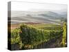 Europe, Italy, Tuscany. Autumn Vineyards in Bright Colors-Julie Eggers-Stretched Canvas