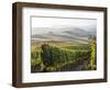 Europe, Italy, Tuscany. Autumn Vineyards in Bright Colors-Julie Eggers-Framed Photographic Print