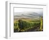 Europe, Italy, Tuscany. Autumn Vineyards in Bright Colors-Julie Eggers-Framed Photographic Print