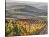 Europe, Italy, Tuscany. Autumn Vineyards in Bright Colors-Julie Eggers-Stretched Canvas