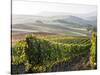 Europe, Italy, Tuscany. Autumn Vineyards in Bright Colors-Julie Eggers-Stretched Canvas