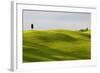 Europe, Italy, Tuscany. Cypress Tree and Wheat Fields-Jaynes Gallery-Framed Photographic Print