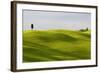 Europe, Italy, Tuscany. Cypress Tree and Wheat Fields-Jaynes Gallery-Framed Photographic Print