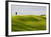 Europe, Italy, Tuscany. Cypress Tree and Wheat Fields-Jaynes Gallery-Framed Photographic Print