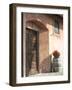 Europe, Italy, Tuscany. Flower Pot on Old Wine Barrel at Winery-Julie Eggers-Framed Photographic Print