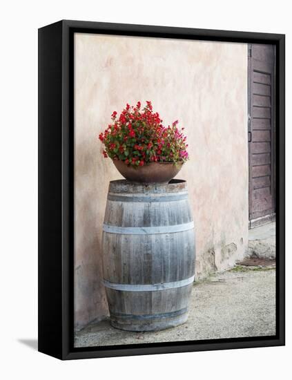 Europe, Italy, Tuscany. Flower Pot on Old Wine Barrel at Winery-Julie Eggers-Framed Stretched Canvas