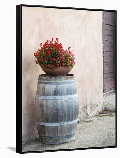 Europe, Italy, Tuscany. Flower Pot on Old Wine Barrel at Winery-Julie Eggers-Framed Stretched Canvas