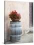 Europe, Italy, Tuscany. Flower Pot on Old Wine Barrel at Winery-Julie Eggers-Stretched Canvas