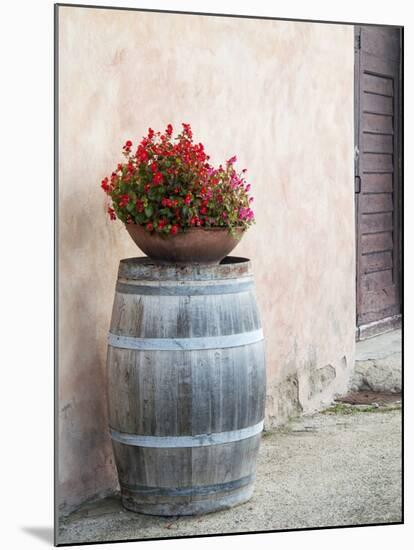 Europe, Italy, Tuscany. Flower Pot on Old Wine Barrel at Winery-Julie Eggers-Mounted Premium Photographic Print