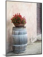 Europe, Italy, Tuscany. Flower Pot on Old Wine Barrel at Winery-Julie Eggers-Mounted Photographic Print