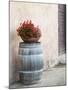 Europe, Italy, Tuscany. Flower Pot on Old Wine Barrel at Winery-Julie Eggers-Mounted Photographic Print