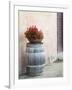 Europe, Italy, Tuscany. Flower Pot on Old Wine Barrel at Winery-Julie Eggers-Framed Photographic Print