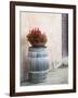 Europe, Italy, Tuscany. Flower Pot on Old Wine Barrel at Winery-Julie Eggers-Framed Photographic Print