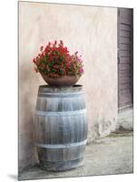 Europe, Italy, Tuscany. Flower Pot on Old Wine Barrel at Winery-Julie Eggers-Mounted Photographic Print