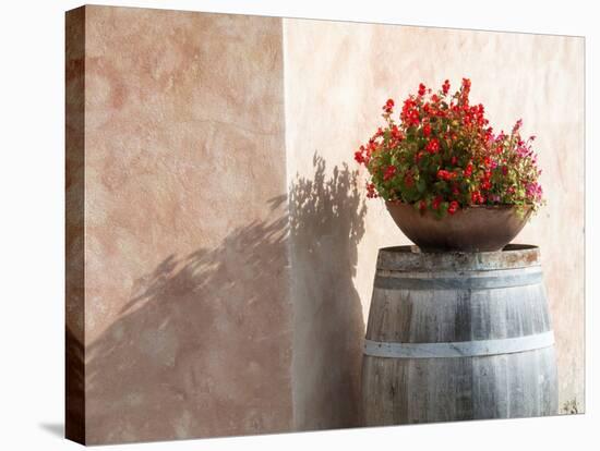 Europe, Italy, Tuscany. Flower Pot on Old Wine Barrel at Winery-Julie Eggers-Stretched Canvas