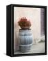 Europe, Italy, Tuscany. Flower Pot on Old Wine Barrel at Winery-Julie Eggers-Framed Stretched Canvas