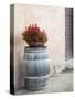 Europe, Italy, Tuscany. Flower Pot on Old Wine Barrel at Winery-Julie Eggers-Stretched Canvas