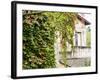 Europe, Italy, Tuscany. Ivy Covered House in the Town of Impruneta-Julie Eggers-Framed Photographic Print