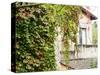 Europe, Italy, Tuscany. Ivy Covered House in the Town of Impruneta-Julie Eggers-Stretched Canvas