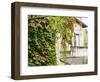 Europe, Italy, Tuscany. Ivy Covered House in the Town of Impruneta-Julie Eggers-Framed Photographic Print