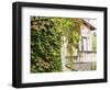 Europe, Italy, Tuscany. Ivy Covered House in the Town of Impruneta-Julie Eggers-Framed Photographic Print