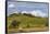 Europe, Italy, Tuscany, Landscape in Le Crete-Gerhard Wild-Framed Stretched Canvas