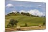 Europe, Italy, Tuscany, Landscape in Le Crete-Gerhard Wild-Mounted Photographic Print